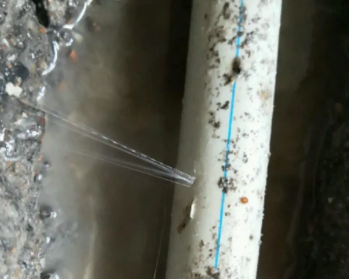麻城卫生间测漏水多少钱