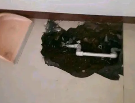麻城卫生间测漏水多少钱